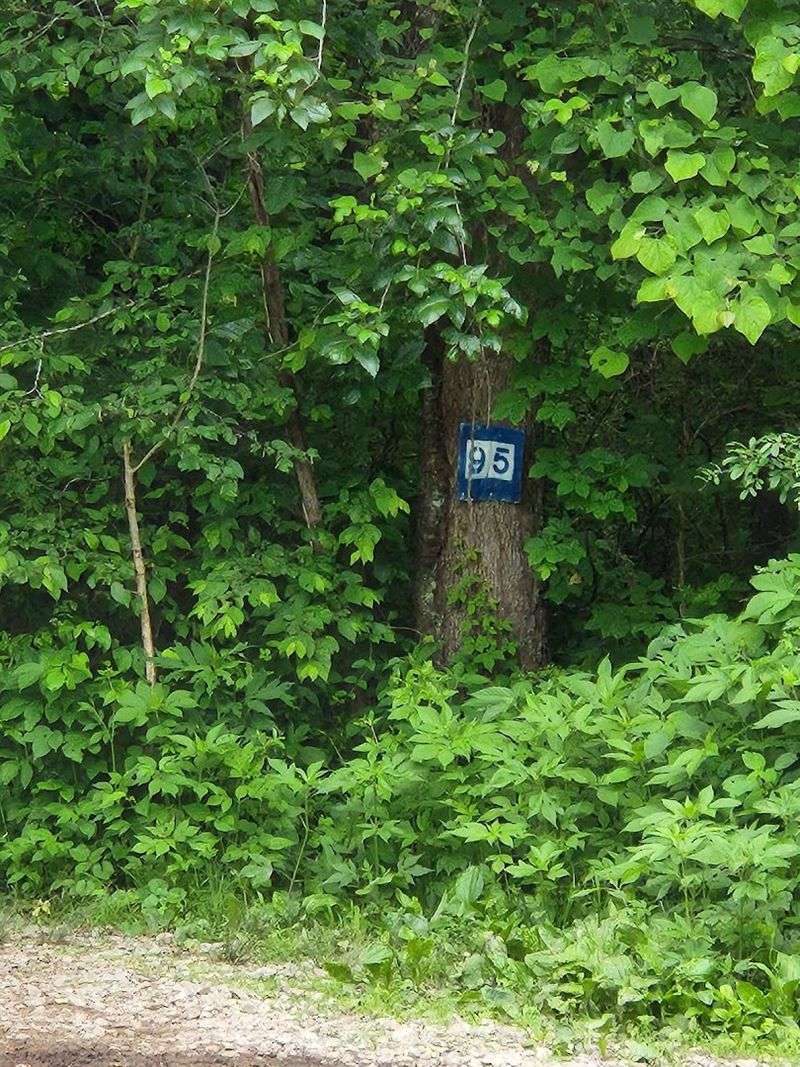 Trail Signs And Navigation Tools Help Riders Stay On Track