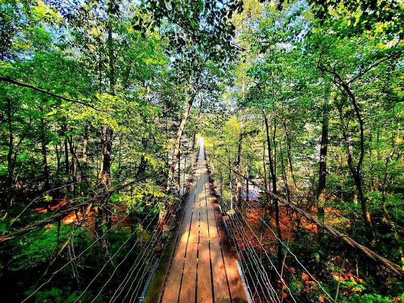 Fall Creek Falls State Park, Spencer