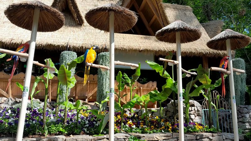 Charming Parrot Cottages And Unique Architectural Details