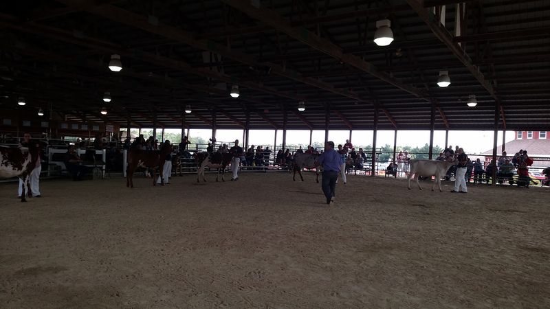 Today The Barn Hosts Exhibits And Fair Events
