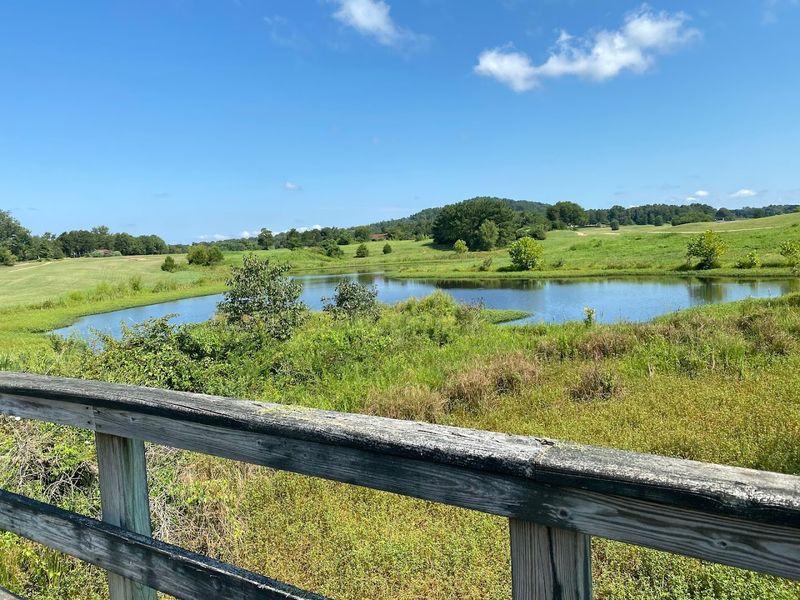 What Genuine Quiet Sounds Like In Wayne County