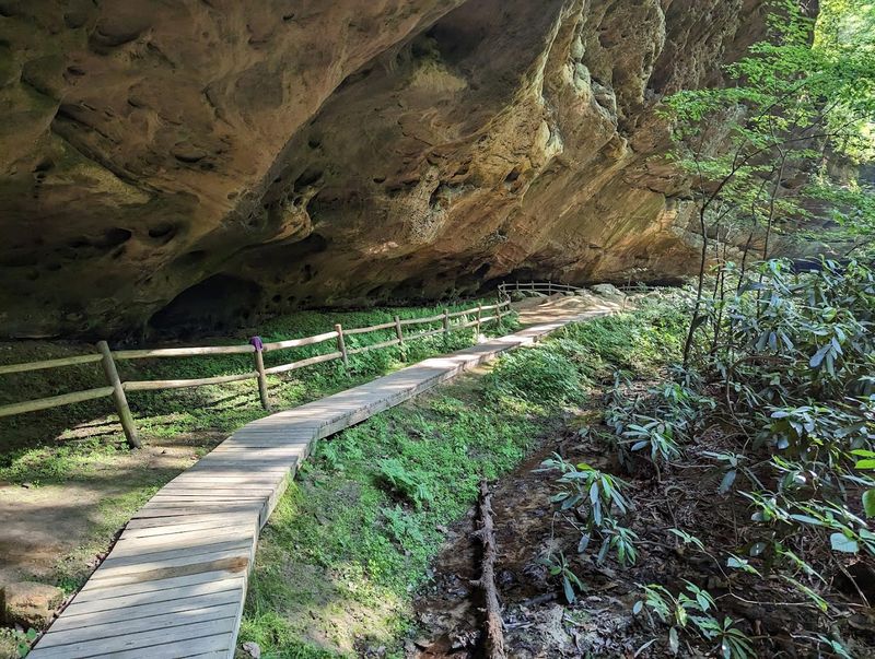 Twin Arches Trail – Pickett State Park