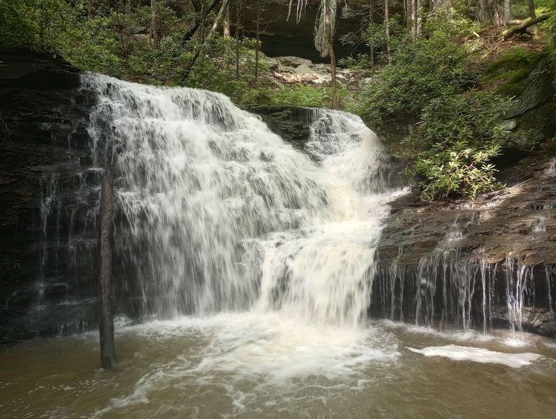 Canoeing And Kayaking Through The Gorge
