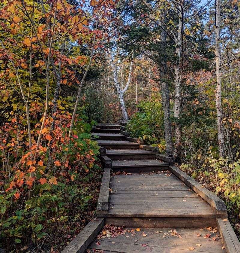 Backcountry Camping In The Wilderness