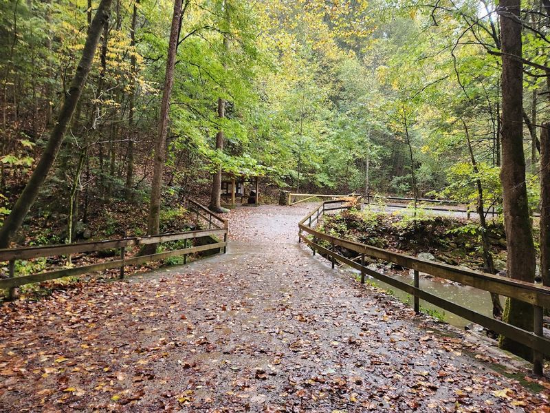 Frozen Head State Park, Wartburg