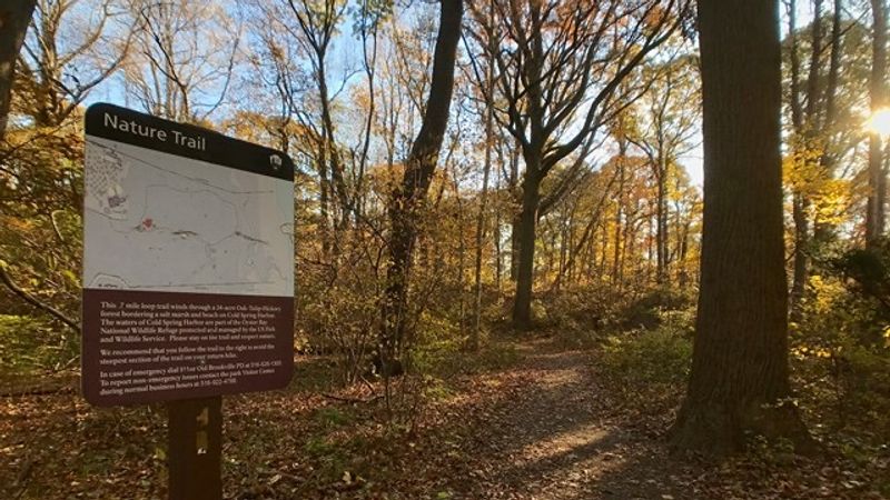 The Nature Trail That Leads To Cold Spring Harbor