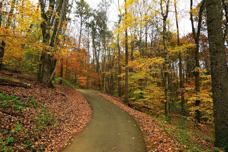 Outlandish Adventure Festival