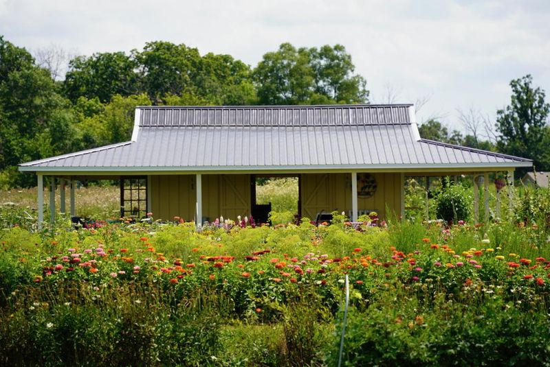 A Peaceful Flower Farm Just Outside Milwaukee