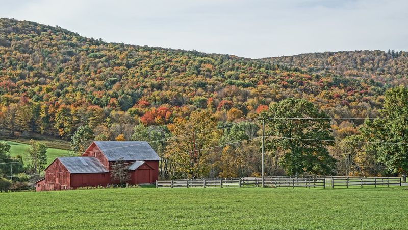 The Catskill Foothills Right At Your Doorstep