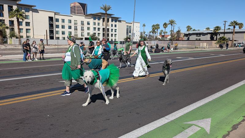 Green Everywhere: Phoenix Traditions For St. Patrick's Day