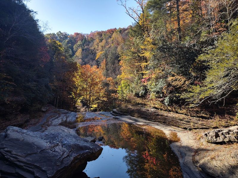 Wildlife And Wildflowers: The Park Changes With Every Season