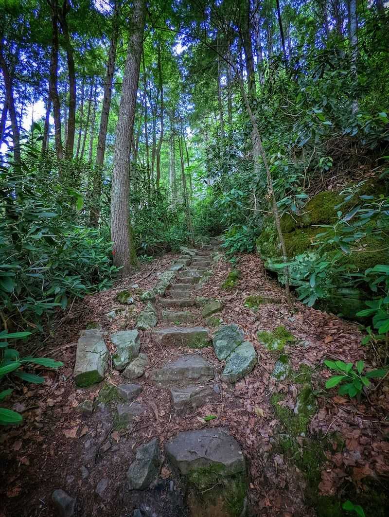 Hiking Trails That Reward Every Step