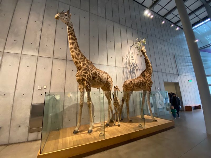 California Academy Of Sciences