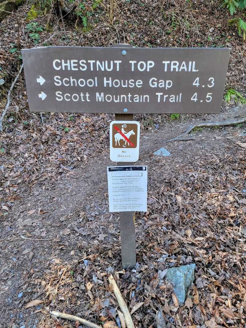 Chestnut Top Trail, Townsend