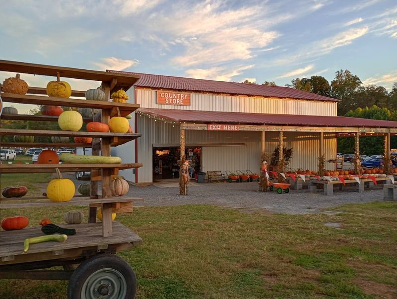 Planning Your Visit To Mayfield Farm Park In Athens, Tennessee