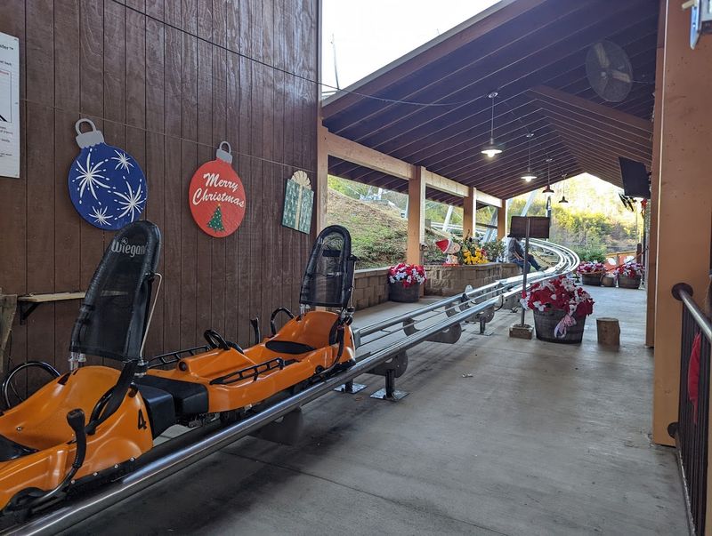 The Photo Opportunity Worth Taking Home