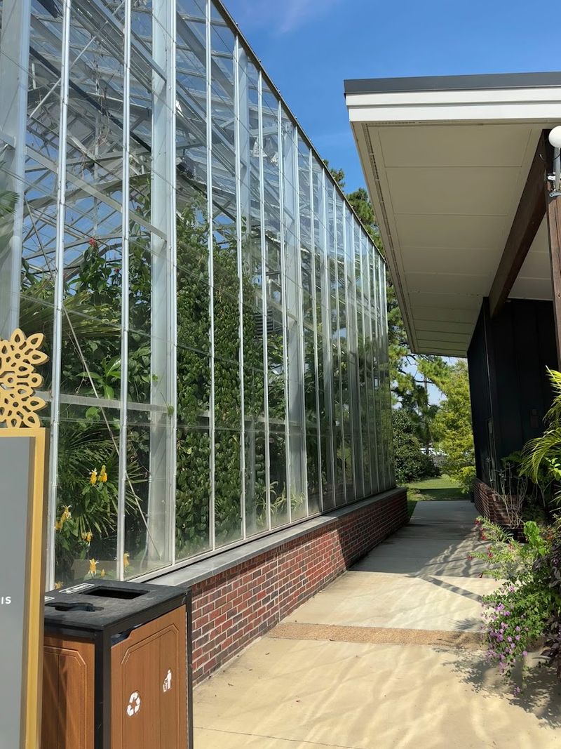 The Tropical House Will Genuinely Surprise You