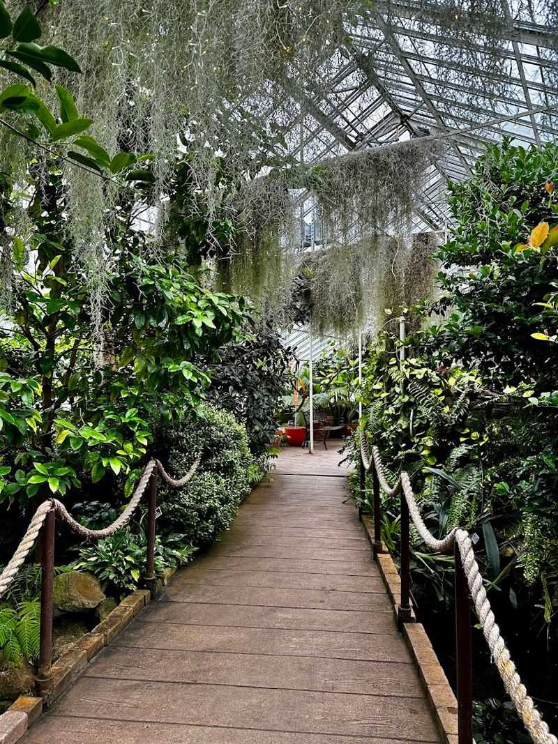 The Wegmans Family Garden And Learning That Sticks