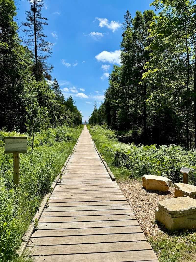 The Red Trail Leads To The Park's Highest Dune