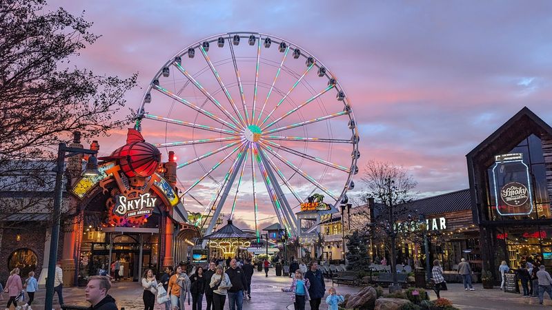 Dining Options That Hit The Spot