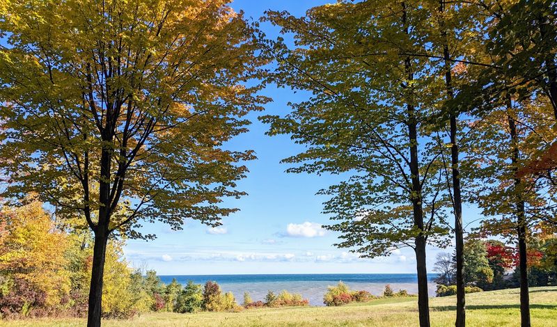 A Short Walk That Leaves A Lasting Impression Of Western New York