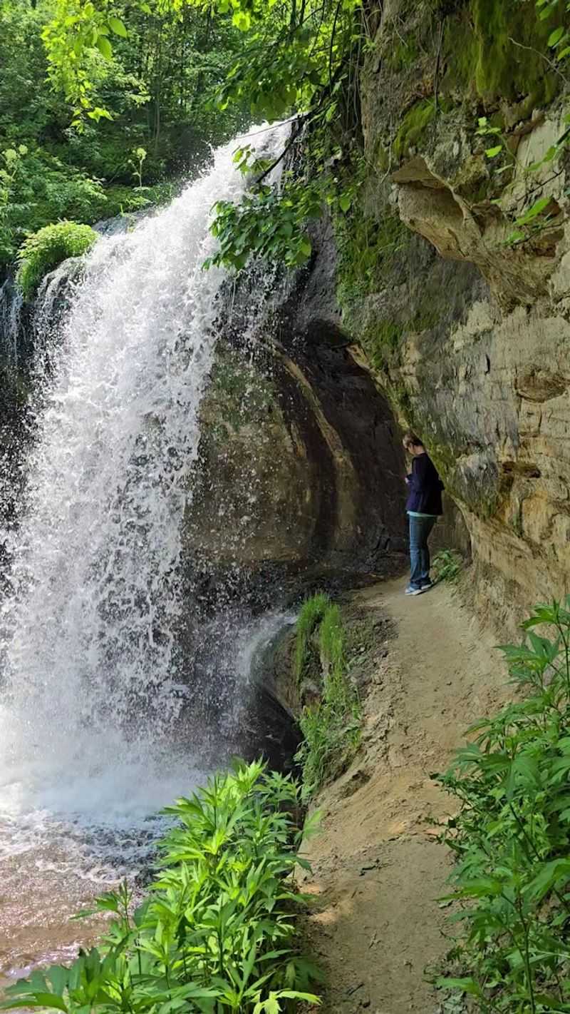 Autumn Brings Brilliant Colour To The Gorge