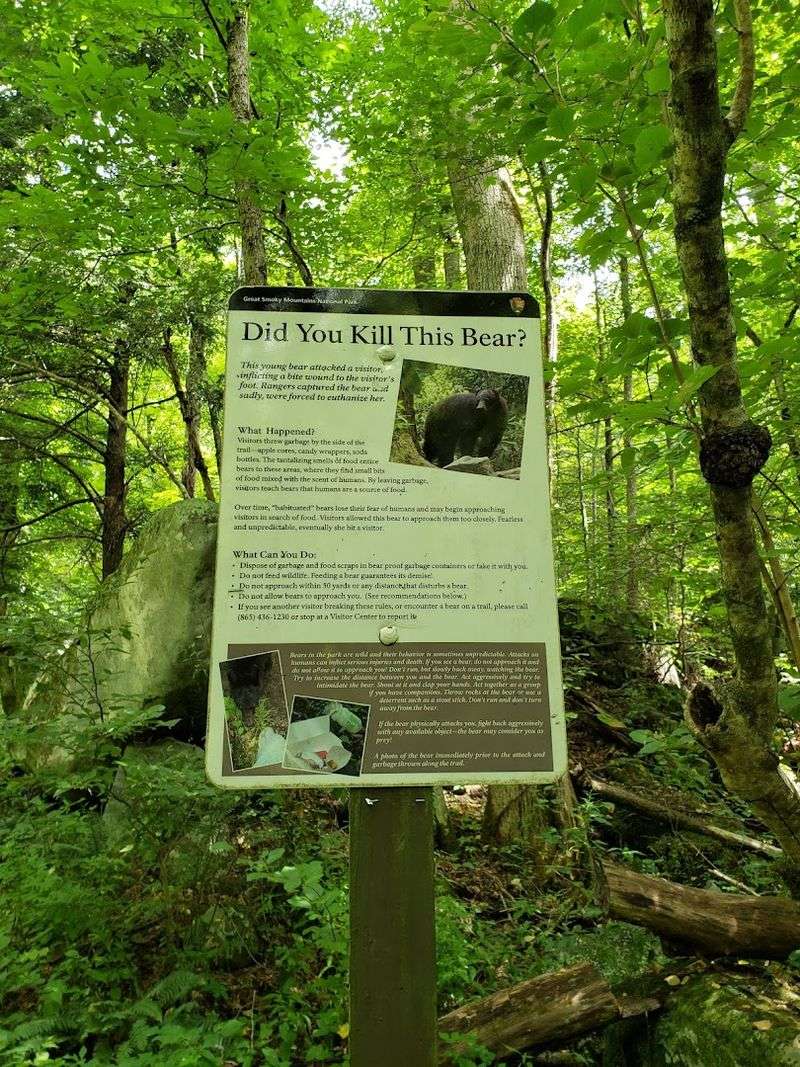 Wildlife Encounters You Should Prepare For Honestly