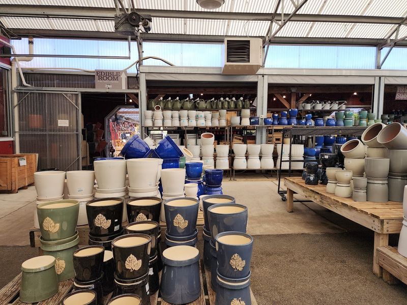 Pottery And Planters Worth Every Bit Of Attention