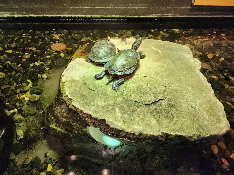 Live Animals Inside The Museum That Genuinely Steal The Show