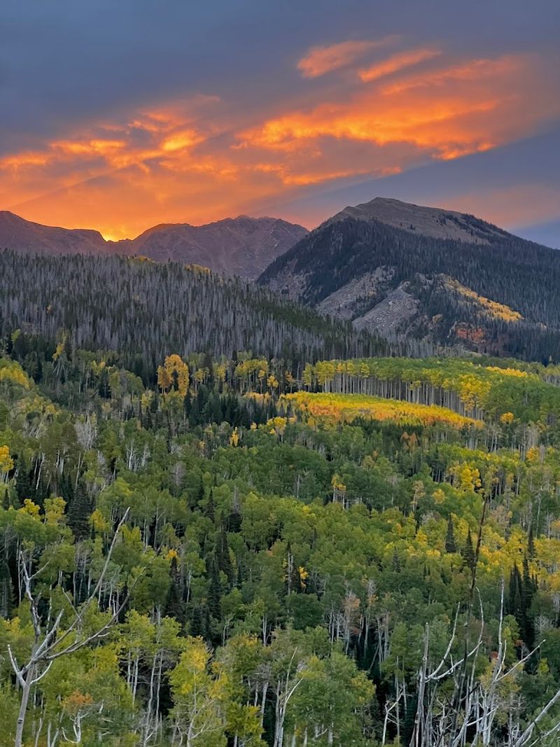 State Forest State Park