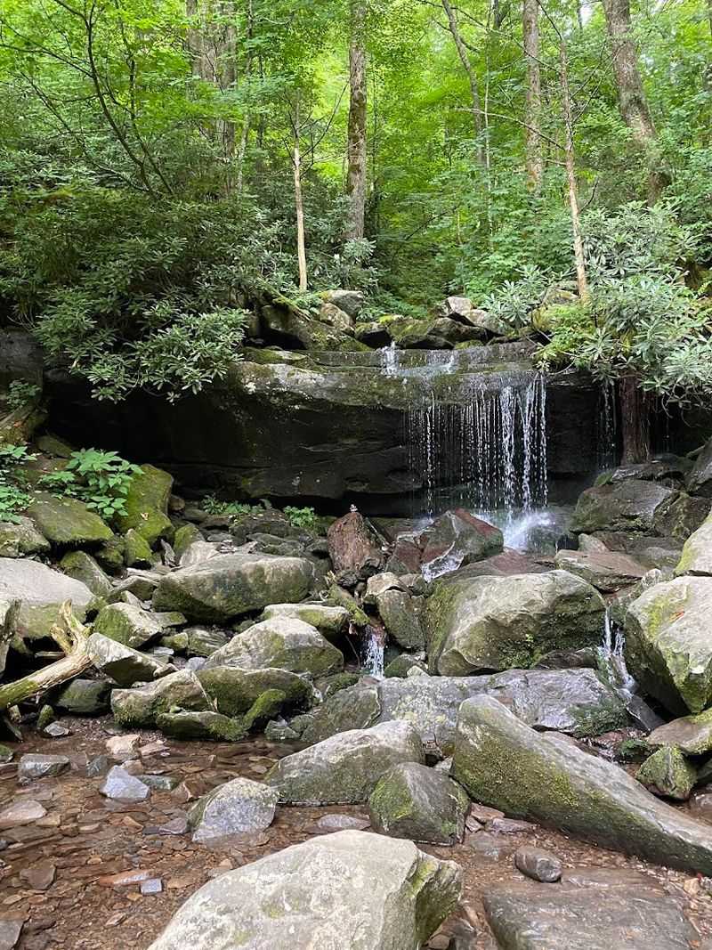 Rainbow Falls Trail, Gatlinburg