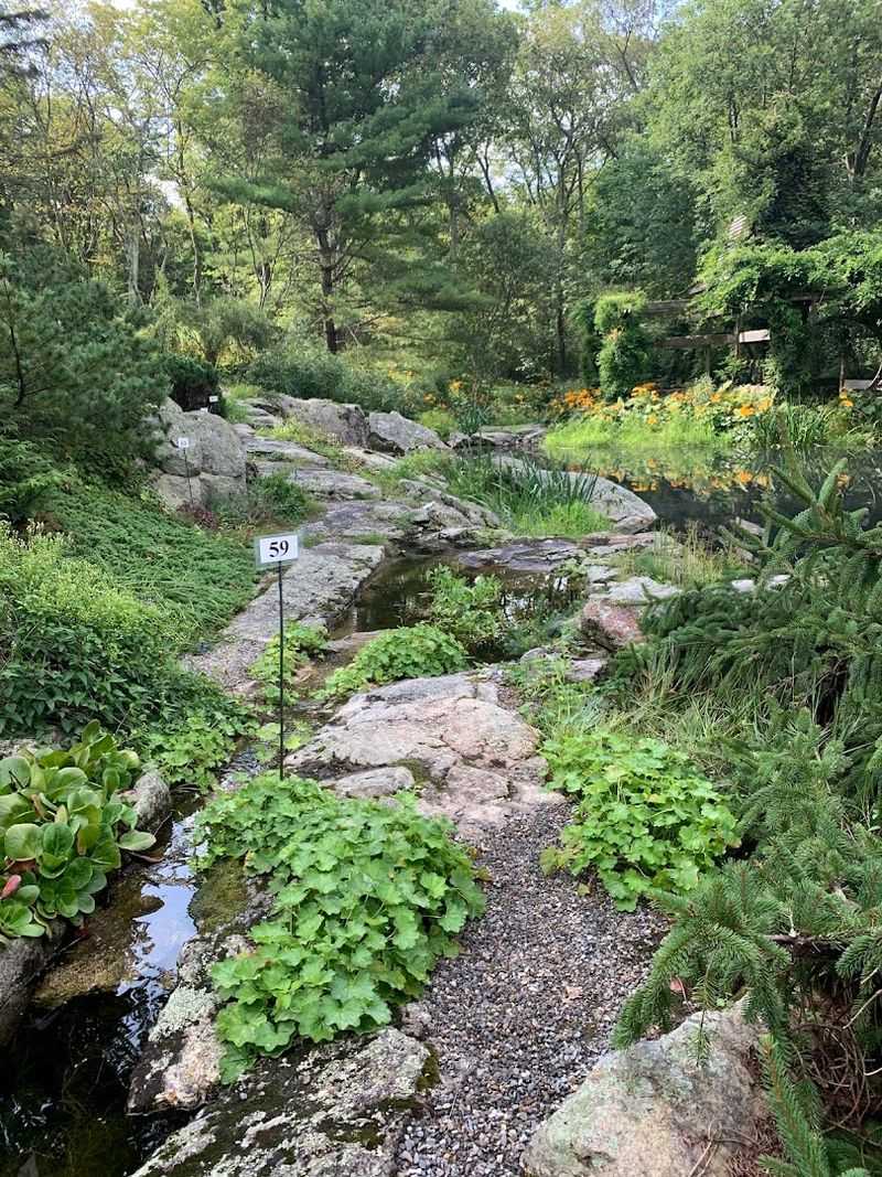 Rock Gardens And Water Features That Earn Every Superlative Thrown At Them
