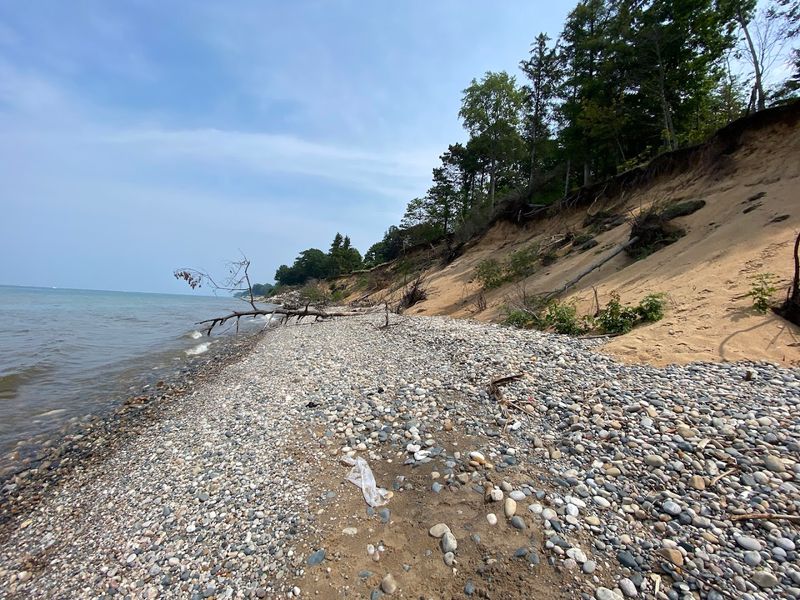 Visitors Sometimes Find Fossils And Ancient Coral