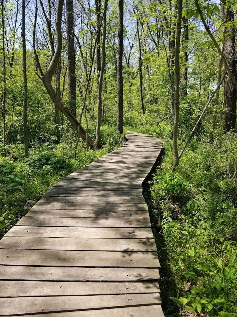 Wehr Nature Center Loop (Whitnall Park)