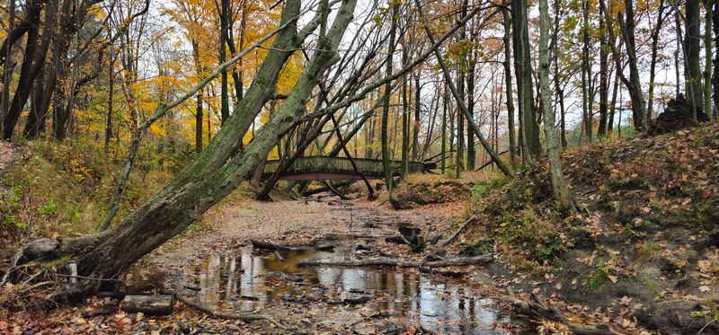 The Area Is Managed As A Natural Preserve