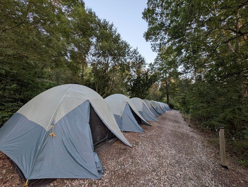 The Overnight Camping Experience That Redefines Adventure