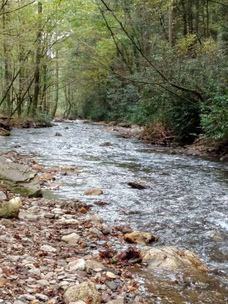 Hiking Trails That Follow The River Through Wild Country