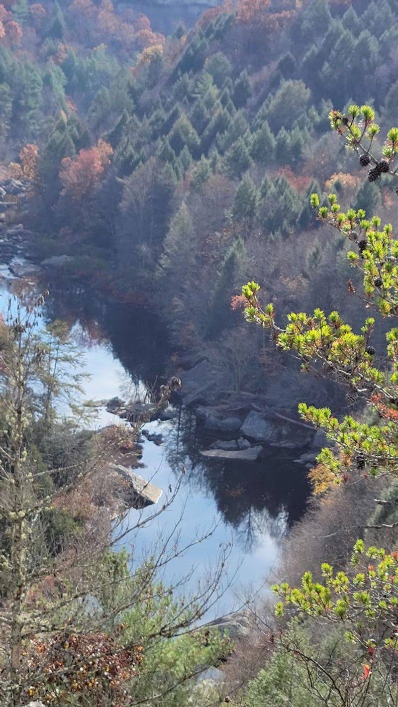 Stargazing In One Of Tennessee's Quieter Corners