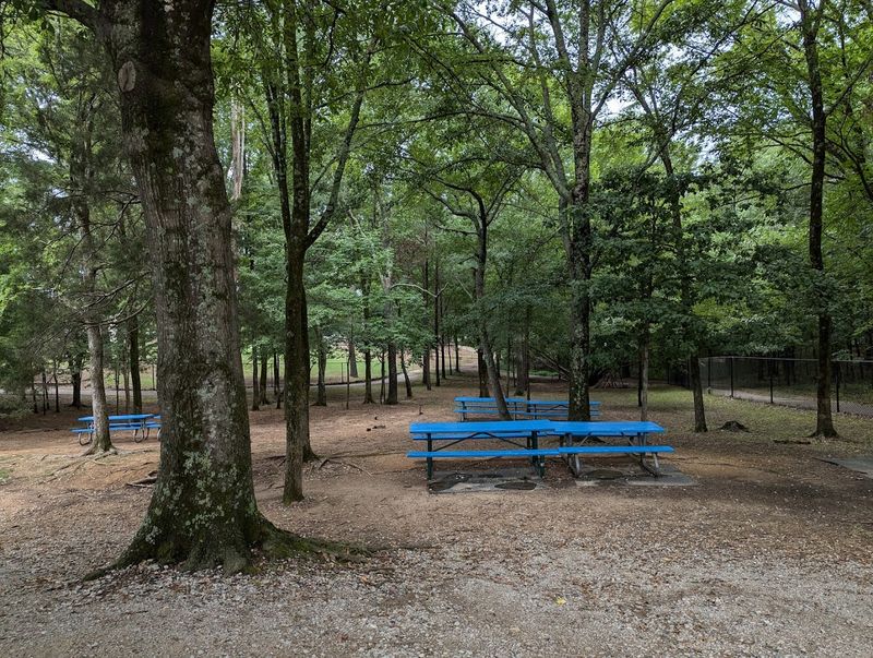 The Zip Line Experience Draws Crowds For Good Reason