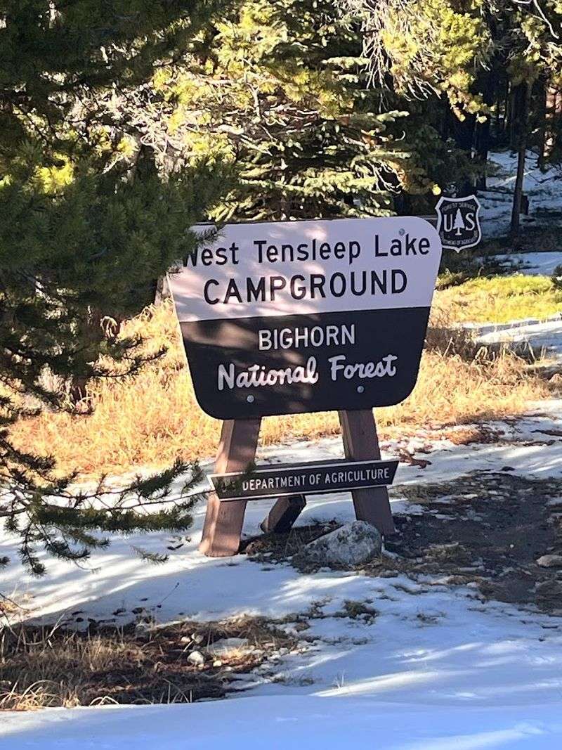 Camp Under The Stars In Bighorn National Forest 