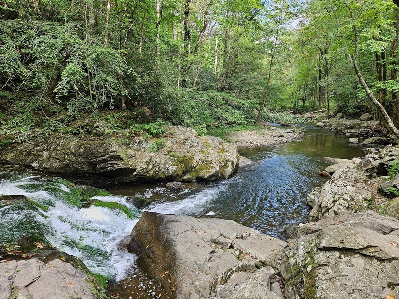 Cades Cove Scenic Loop, Great Smoky Mountains