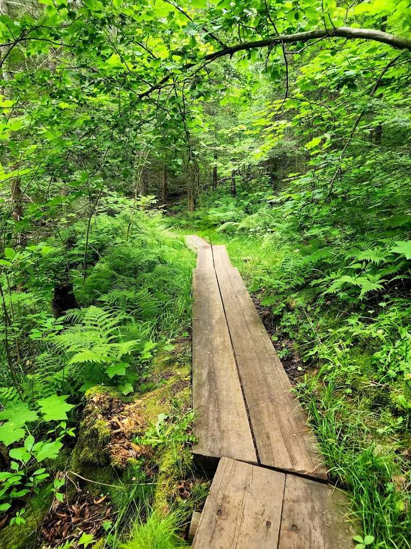 A Scenic 4.5-Mile Hike Along Lake Superior