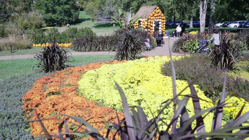 The Lasting Impression That Brings Visitors Back Year After Year