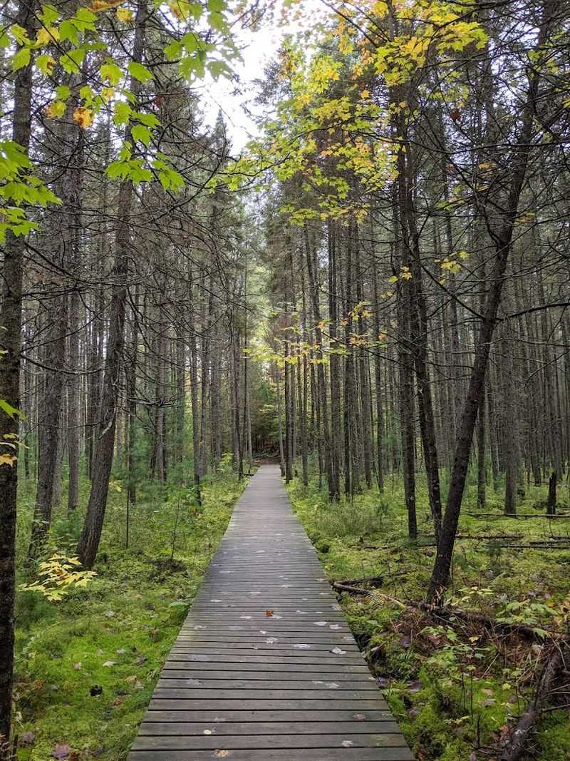 The Trail Offers A Calm Alternative To Busier State Parks