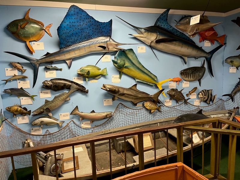 Exhibits Highlight Legendary Anglers And Record Fish