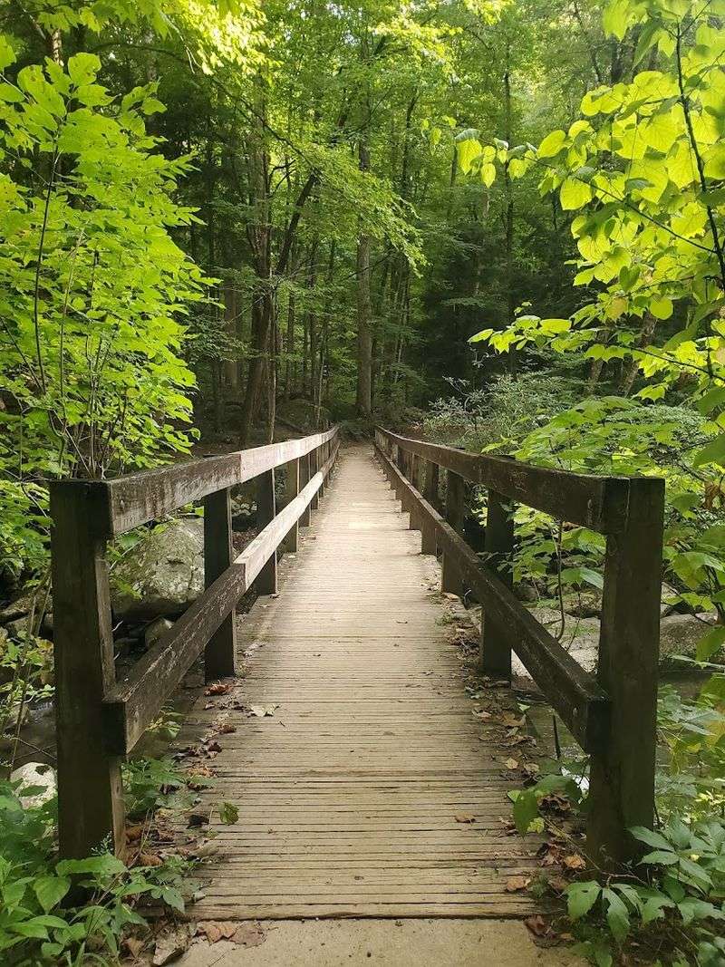 Why This Trail Feels Different From Every Other Smoky Mountain Hike