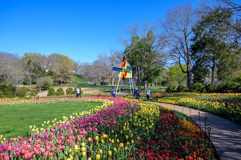 The Accessibility And Practical Details Worth Knowing Before You Go