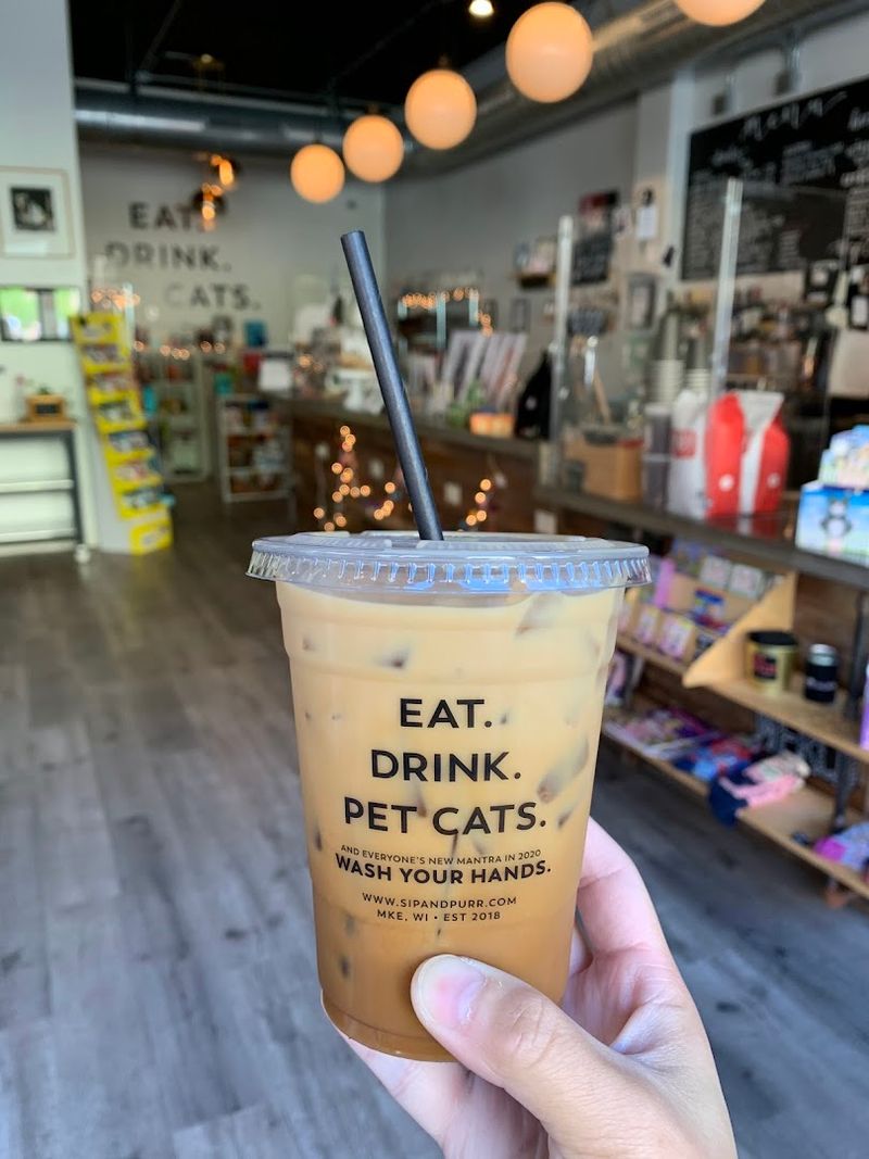 Visitors Can Sip Coffee Or Wine While Spending Time With Cats