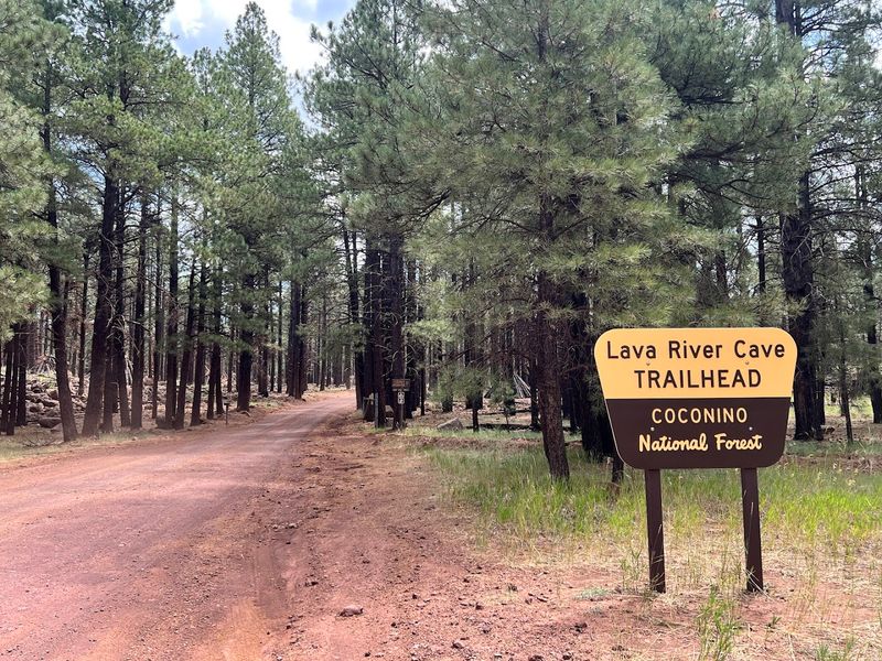 Located Near Flagstaff In The Coconino National Forest