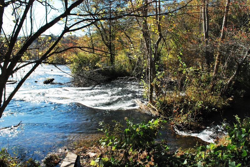 Swimming Holes And River Access Points Worth Knowing About